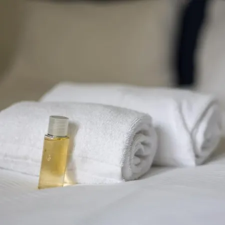 Urban Oasis With Queen Bed And View Be-39 * チューリッヒ